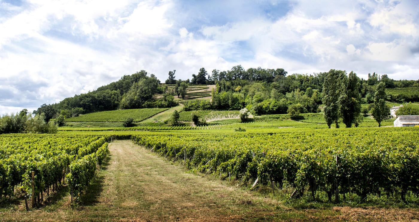 Château Côte de Baleau
